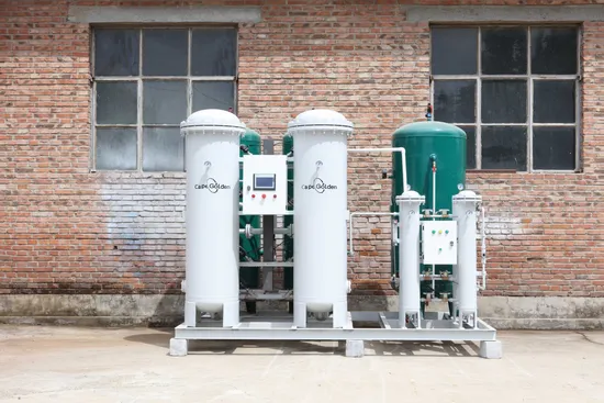 20nm3 Psa Oxygen Generator Mounted in Container