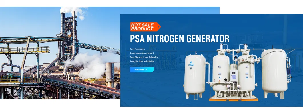 Chenrui Advanced Energy-Saving Psa Nitrogen Generator with CE and ISO Certification OEM Factory