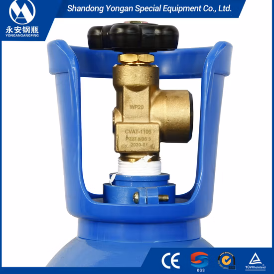 10L ISO Tped Certificate Seamless Steel Portable Household Health Care Medical Oxygen Gas Cylinder
