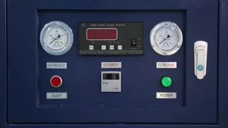 Psa Oxygen Gas Generator for Medical/Health