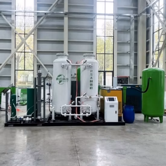 Psa Industrial Oxygen Generator Price Mini Oxygen Plant Oxygen Concentrator