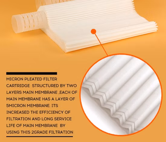 PP Micro 1 Micron 10